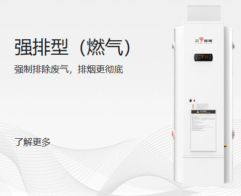 商用強(qiáng)排型（燃?xì)猓?/></a>
            <h3><a href=